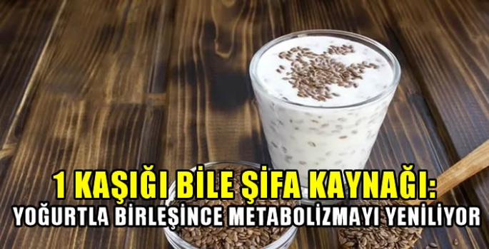 1 kaşığı bile şifa kaynağı: Yoğurtla birleşince metabolizmayı yeniliyor