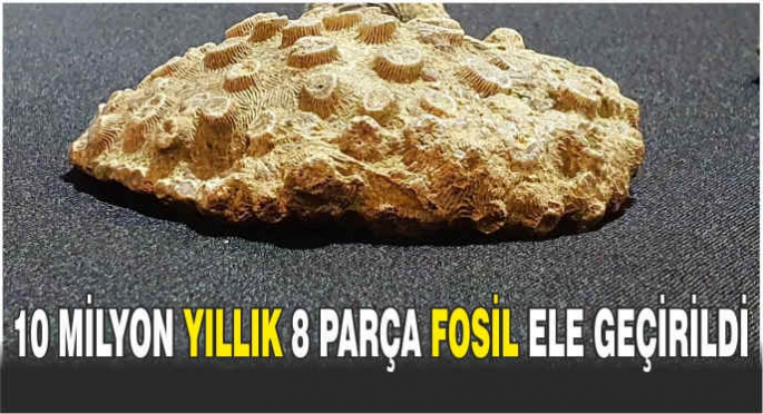 10 milyon yıllık 8 parça fosil ele geçirildi