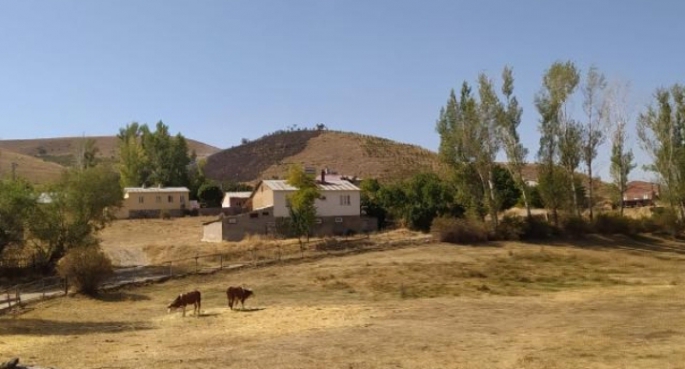 12 bin fidan diktiği ormanda çıkan yangında hayatını kaybetti