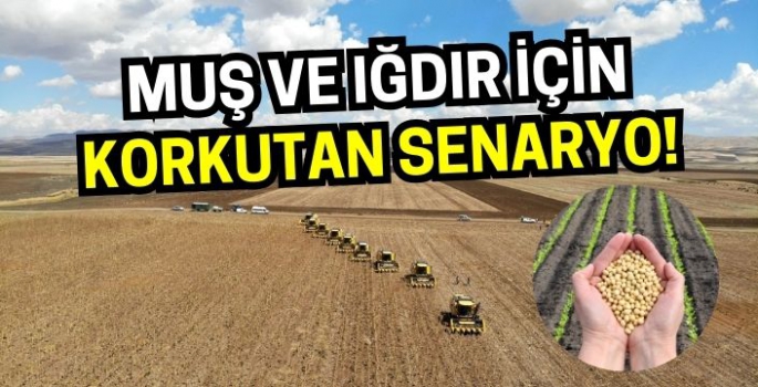 15 ilin tarımsal raporu çıkartıldı: Muş ve Iğdır için korkutan senaryo!