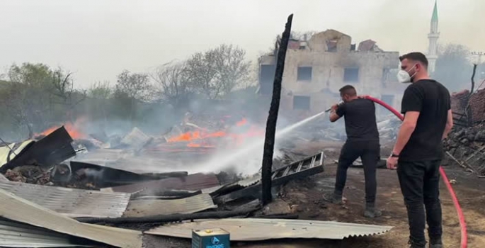 Kastamonu'da feci yangın: 4 büyükbaş hayvan telef oldu