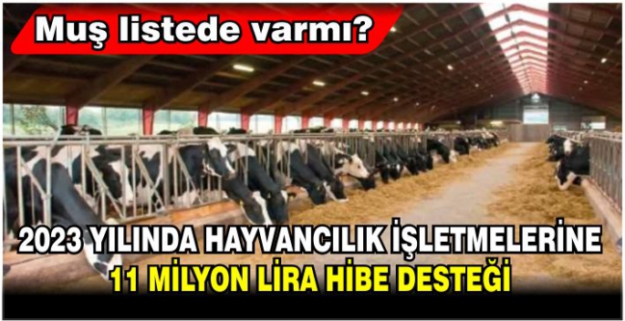 2023 yılında hayvancılık işletmelerine 11 milyon lira hibe desteği