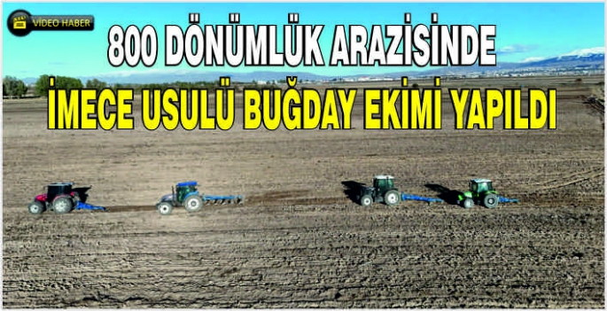 800 dönümlük arazisinde imece usulü buğday ekimi yapıldı