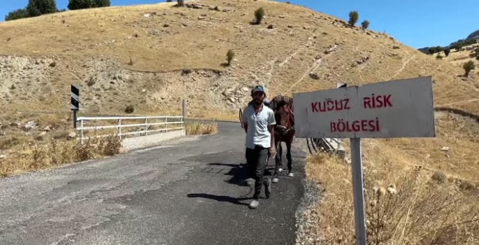 Adıyaman'da bir köy kuduz nedeniyle karantinaya alındı