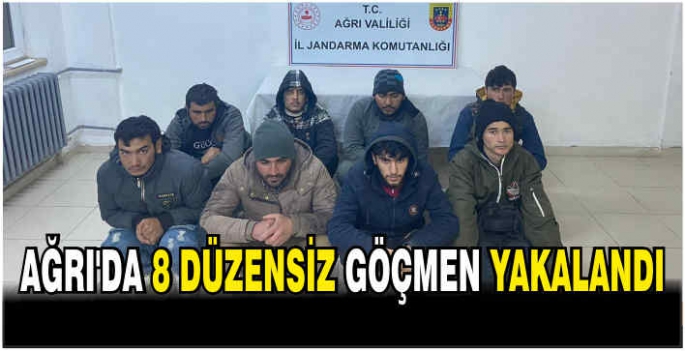 Ağrı'da 8 düzensiz göçmen yakalandı