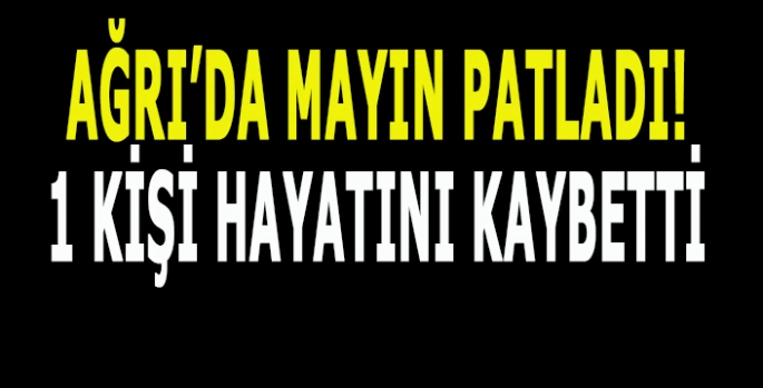 Ağrı'da mayın patladı: 1 Kişi hayatını kaybetti!