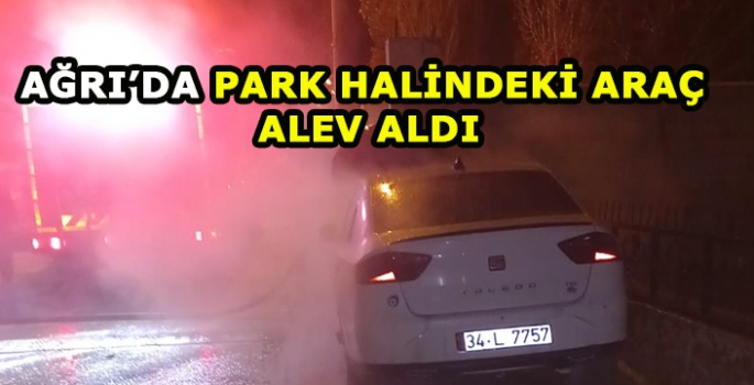 Ağrı'da park halindeki araç alev aldı