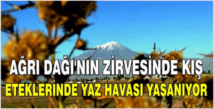 Ağrı Dağı'nın zirvesinde kış eteklerinde yaz havası yaşanıyor