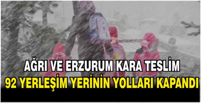 Ağrı ve Erzurum kara teslim: 92 yerleşim yerinin yolları kapandı