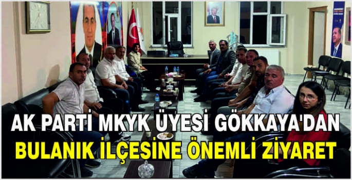 AK Parti MKYK Üyesi Gökkaya'dan Bulanık ilçesine önemli ziyaret