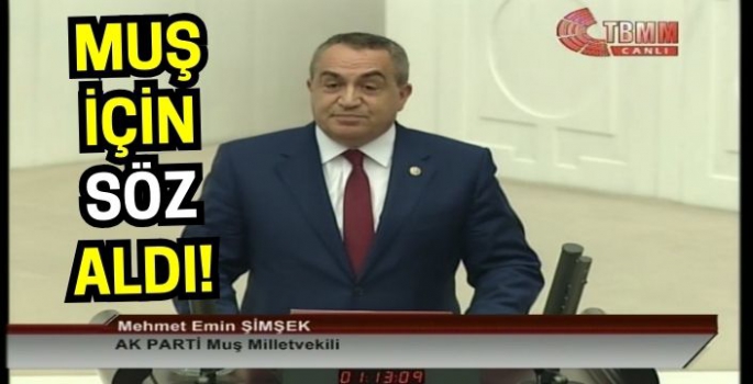 AK Parti Muş Milletvekili M. Emin Şimşek Muş’u gündeme getirdi!