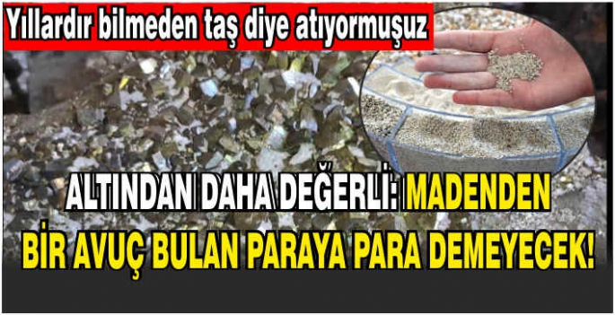 Altından daha değerli! Yıllardır bilmeden taş diye atıyormuşuz