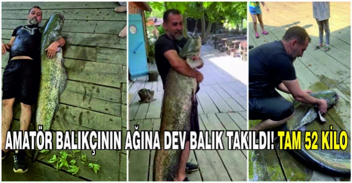 Amatör Balıkçının Ağına Dev Balık Takıldı! Tam 52 Kilo