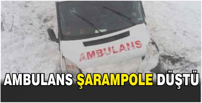 Ambulans şarampole düştü