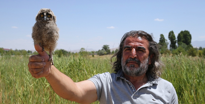 Annelerinden ayrı düşen yaban hayvanları rehabilitasyon merkezinde hayata tutunuyor