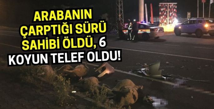 Arabanın çarptığı sürü sahibi öldü, 6 koyun telef oldu!