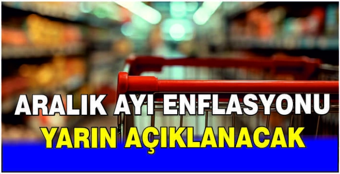 Aralık ayı enflasyonu yarın açıklanacak