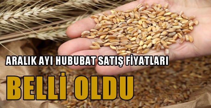 Aralık ayı hububat satış fiyatları belli oldu