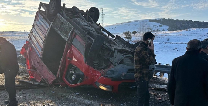 Ardahan'da büyükbaş hayvan yüklü kamyonet ile tırın çarpıştığı kazada 3 kişi yaralandı