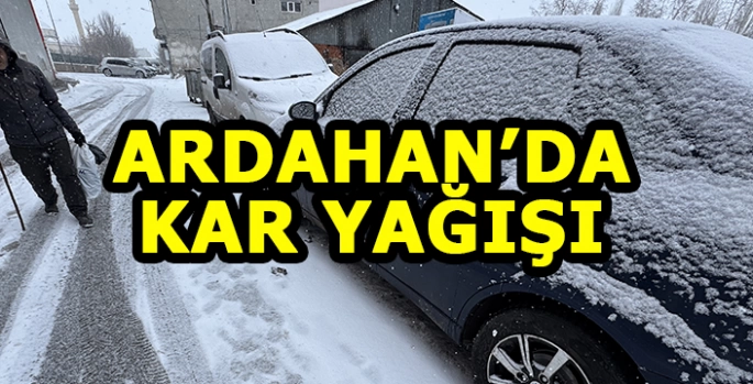 Ardahan'da kar etkili oluyor