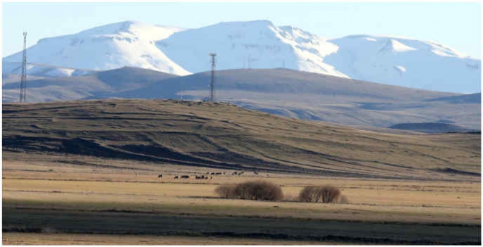 Ardahan ve Kars'ta soğuk hava nedeniyle kırağı oluştu