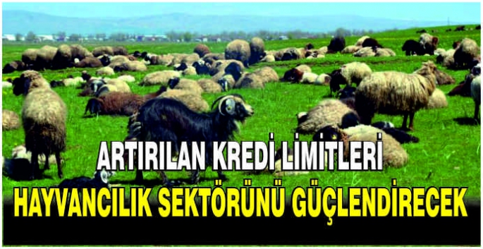 Artırılan kredi limitleri hayvancılık sektörünü güçlendirecek