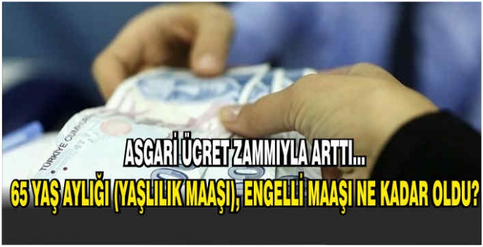   Asgari ücret zammıyla arttı... 65 yaş aylığı (yaşlılık maaşı), engelli maaşı 2024 ne kadar oldu?