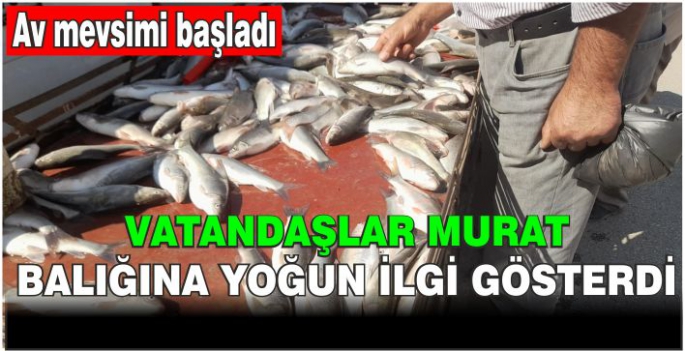 Av mevsimi başladı! Vatandaşlar Murat balığına yoğun ilgi gösterdi