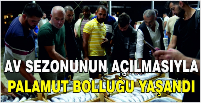 Av sezonunun açılmasıyla palamut bolluğu yaşandı