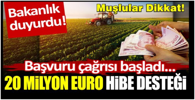 Bakanlık duyurdu: 20 milyon euro hibe desteği! Başvuru çağrısı başladı