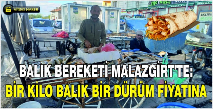 Balık bereketi Malazgirt'te: Bir kilo balık bir dürüm fiyatına