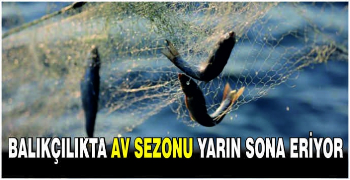 Balıkçılıkta av sezonu yarın sona eriyor