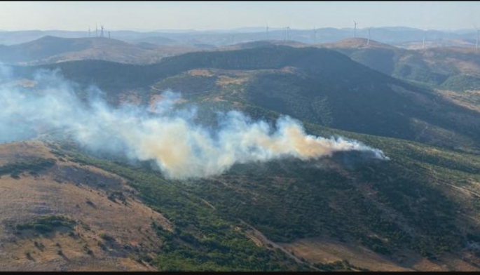 Balıkesir'de orman yangını