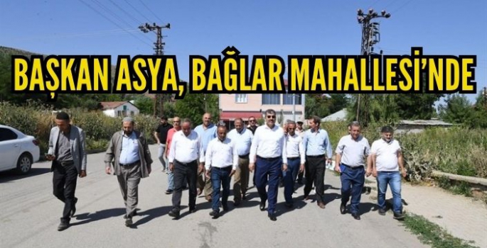 Başkan Feyat Asya'nın Bağlar ziyaretine mahalle sakinleri eşlik etti: Sorunlar yerinde tespit edildi