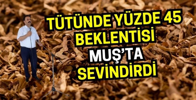 Başkan Solgun: Yerli tütün kullanımı oranı yüzde 45’e çıkarılsın!  