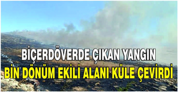  Biçerdöverde çıkan yangın bin dönüm ekili alanı küle çevirdi