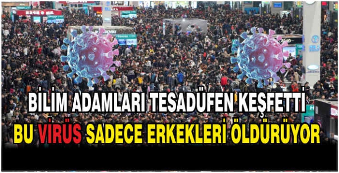 Bilim adamları tesadüfen keşfetti: Bu virüs sadece erkekleri öldürüyor