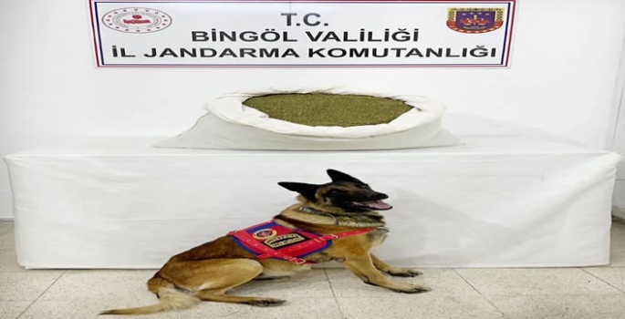 Bingöl'de 18 kilo 500 gram esrar ele geçirildi