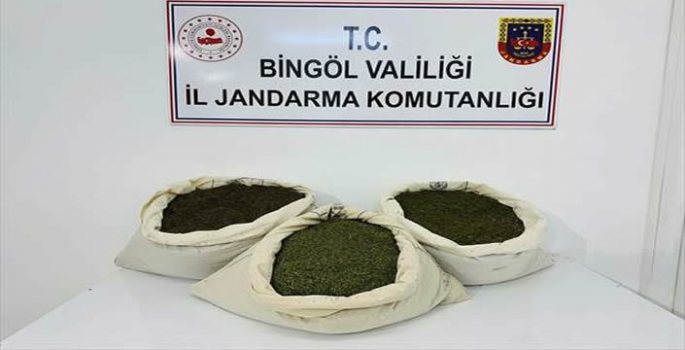 Bingöl'de 34 kilo 700 gram esrar ele geçirildi