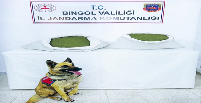  Bingöl'de 45 kilogram esrar ele geçirildi