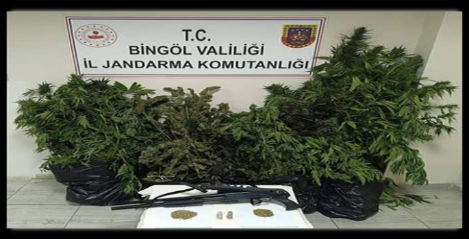 Bingöl'de 50 kilo 998 gram esrar ele geçirildi