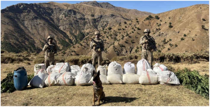 Bingöl'de 529 kilo 600 gram esrar ve 3 milyon 158 bin kök kenevir ele geçirildi