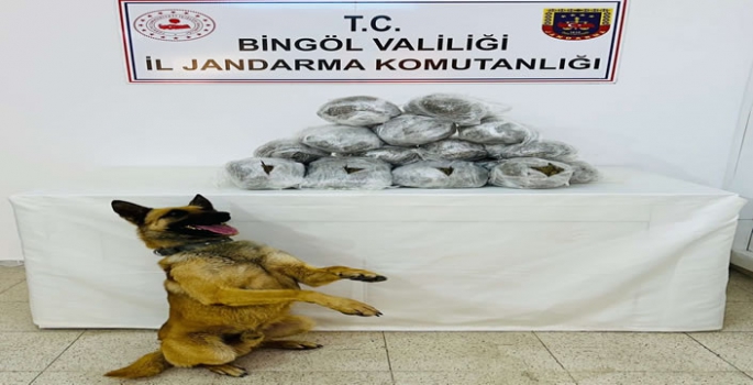 Bingöl'de 8 kilo 750 gram esrar ele geçirildi