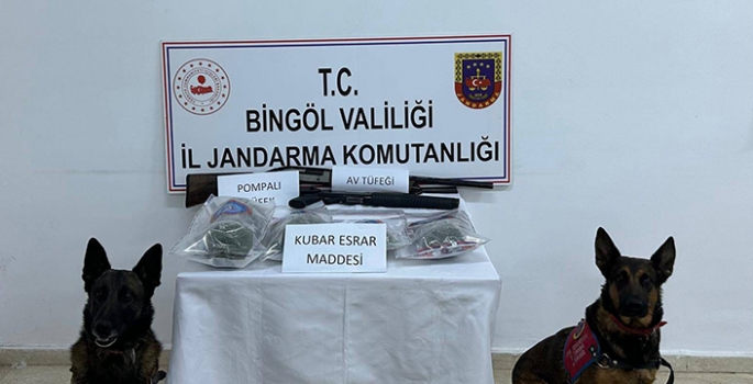 Bingöl'de 8 kilogram esrar ve 4 bin 915 kök Hint keneviri ele geçirildi