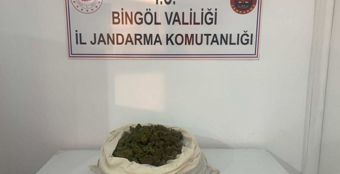 Bingöl'de 815 kök Hint keneviri ve 3 kilo 762 gram esrar ele geçirildi