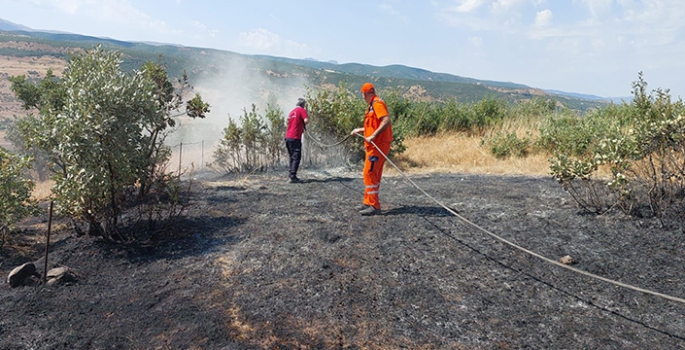 Bingöl'de çıkan orman ve örtü yangınları söndürüldü