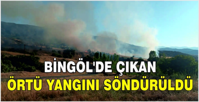 Bingöl'de çıkan örtü yangını söndürüldü