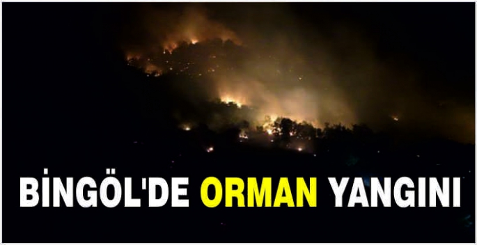 Bingöl'de orman yangını