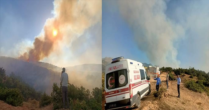 Bingöl'de ormanlık alanda yangın çıktı: Halk tedirgin