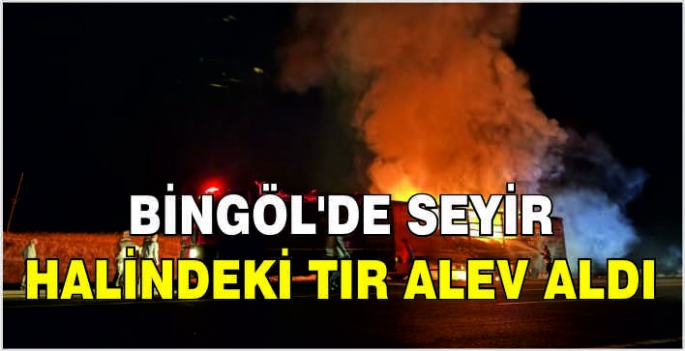 Bingöl'de seyir halindeki tır alev aldı